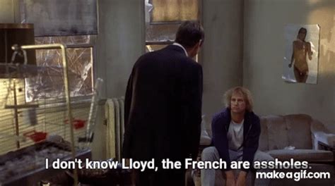Share the best GIFs now >>>. . I dont know lloyd the french gif